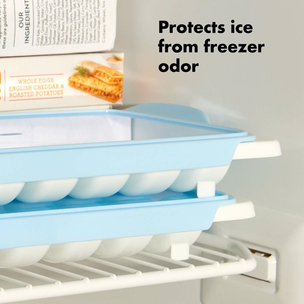Ice Cube Tray B1