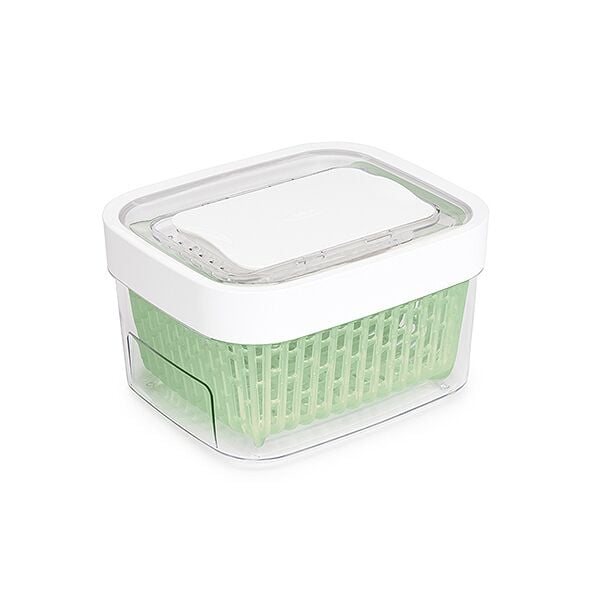 GreenSaver Produce Keeper (1.6 Qt) V4