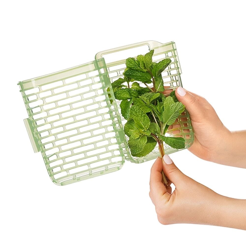 GreenSaver Herb Keeper - Small V7