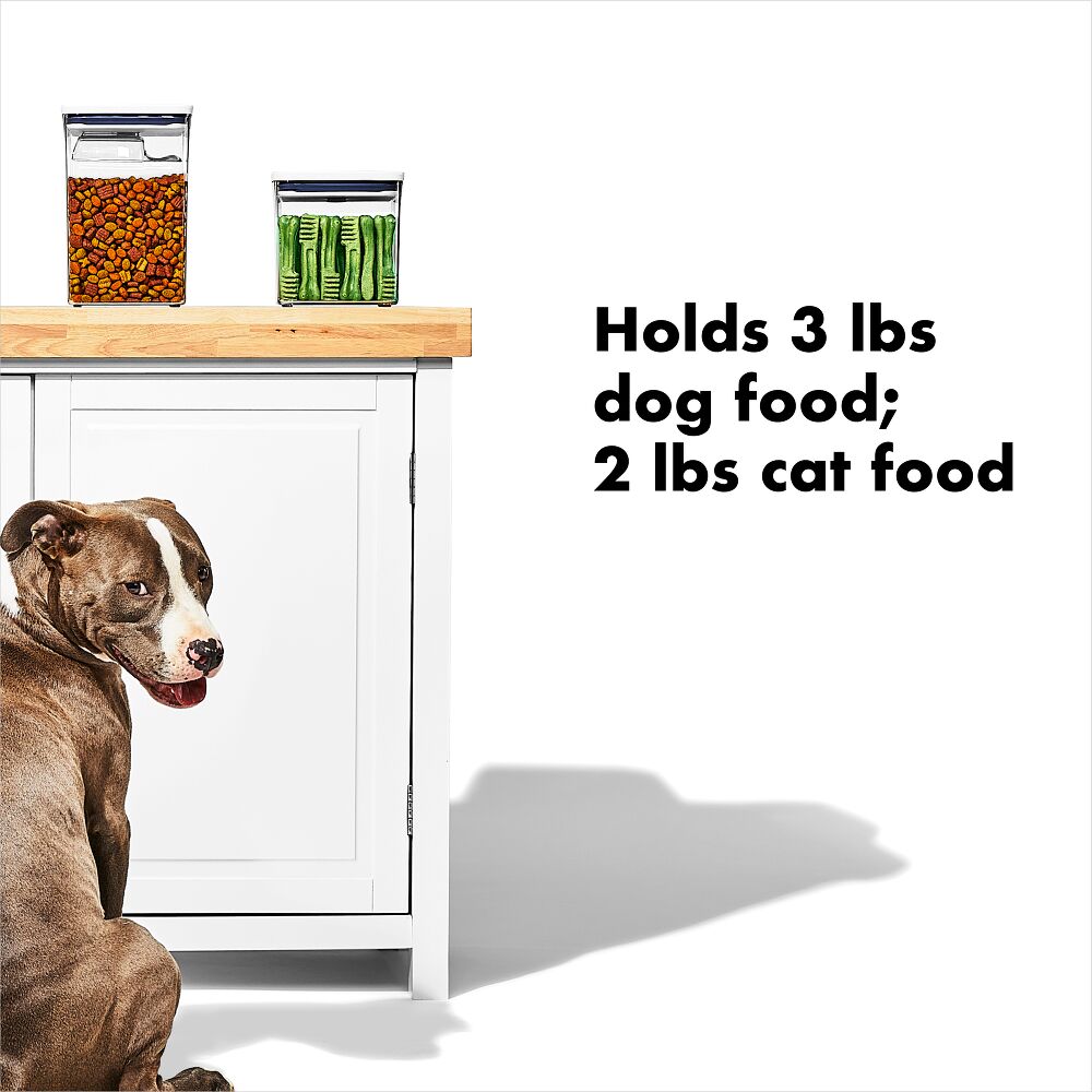 OXO Good Grips Pet POP Container – 2.8 Qt/2.6 L Y7