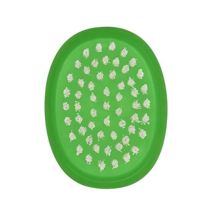 Vegetable Brush T6
