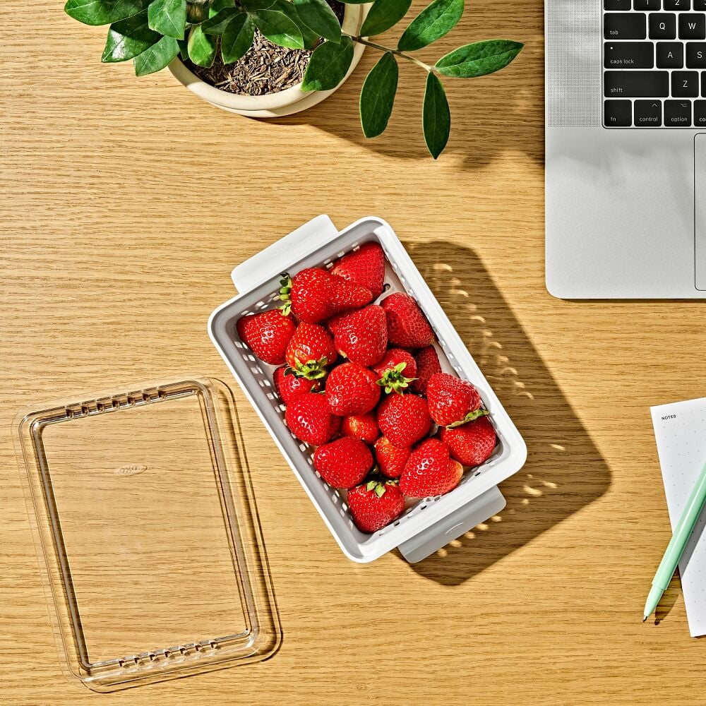 Produce Saver - Berry Keeper 2-Piece Set M5