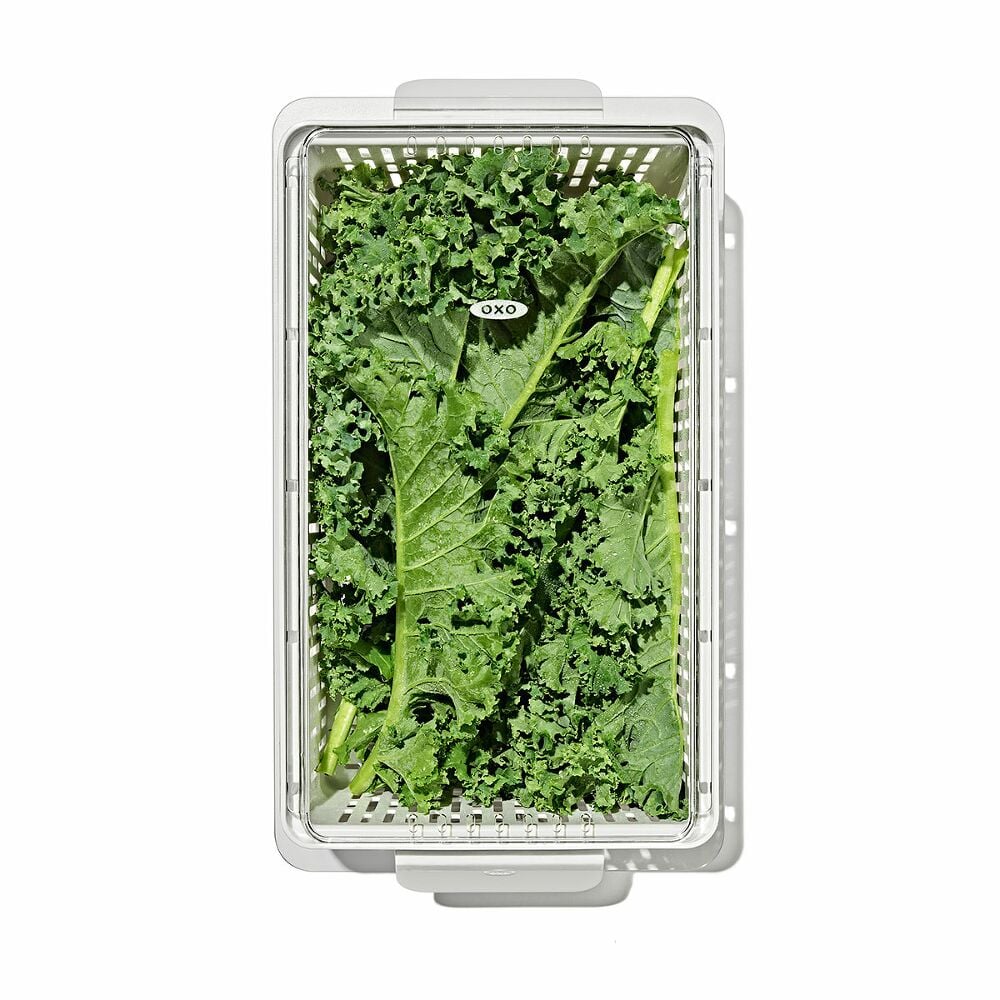 Produce Saver - Medium Bin U3