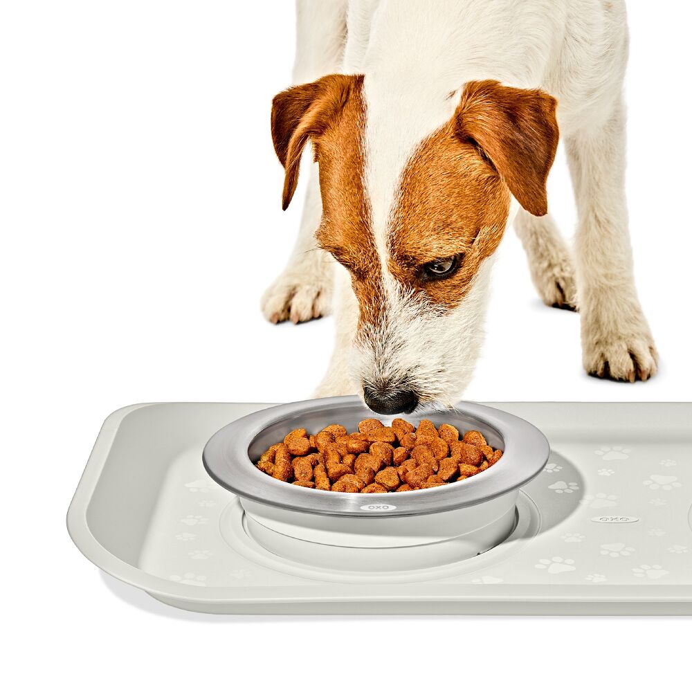 OXO Pet Nonslip Bowl - Small, 1 Cup / 240 mL N4