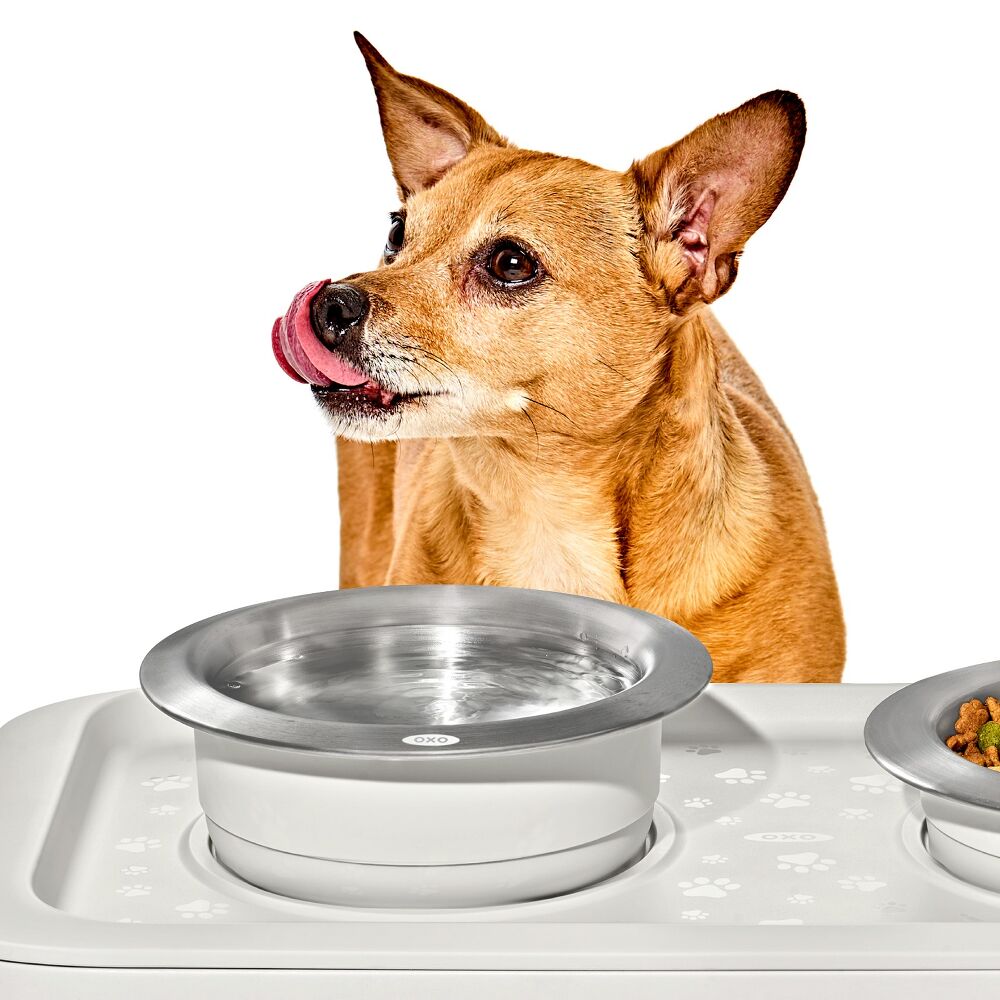 OXO Pet Nonslip Bowl - Medium, 2 Cups / 480 mL E9