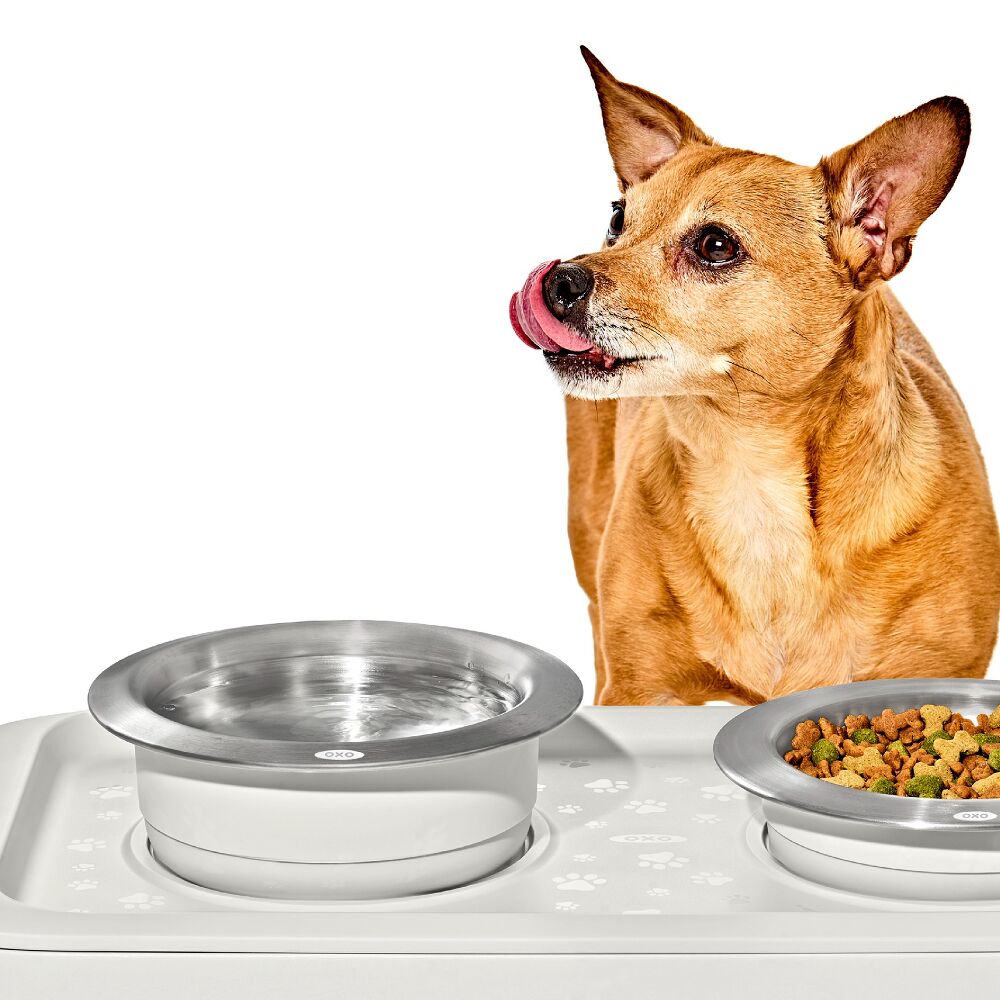 OXO Pet Nonslip Bowl - Large, 4 Cups / 950 mL P8