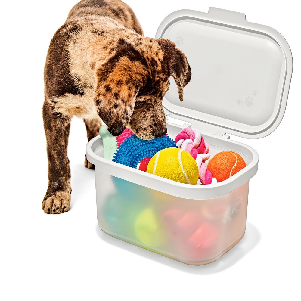 OXO Pet Multi-Purpose Container B2