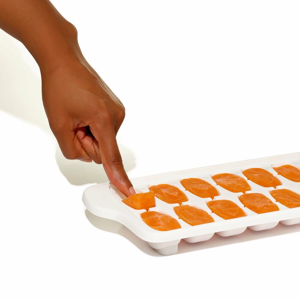 Baby Food Freezer Tray Set P1