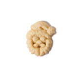 Christmas Cookie Press Disk Set C9