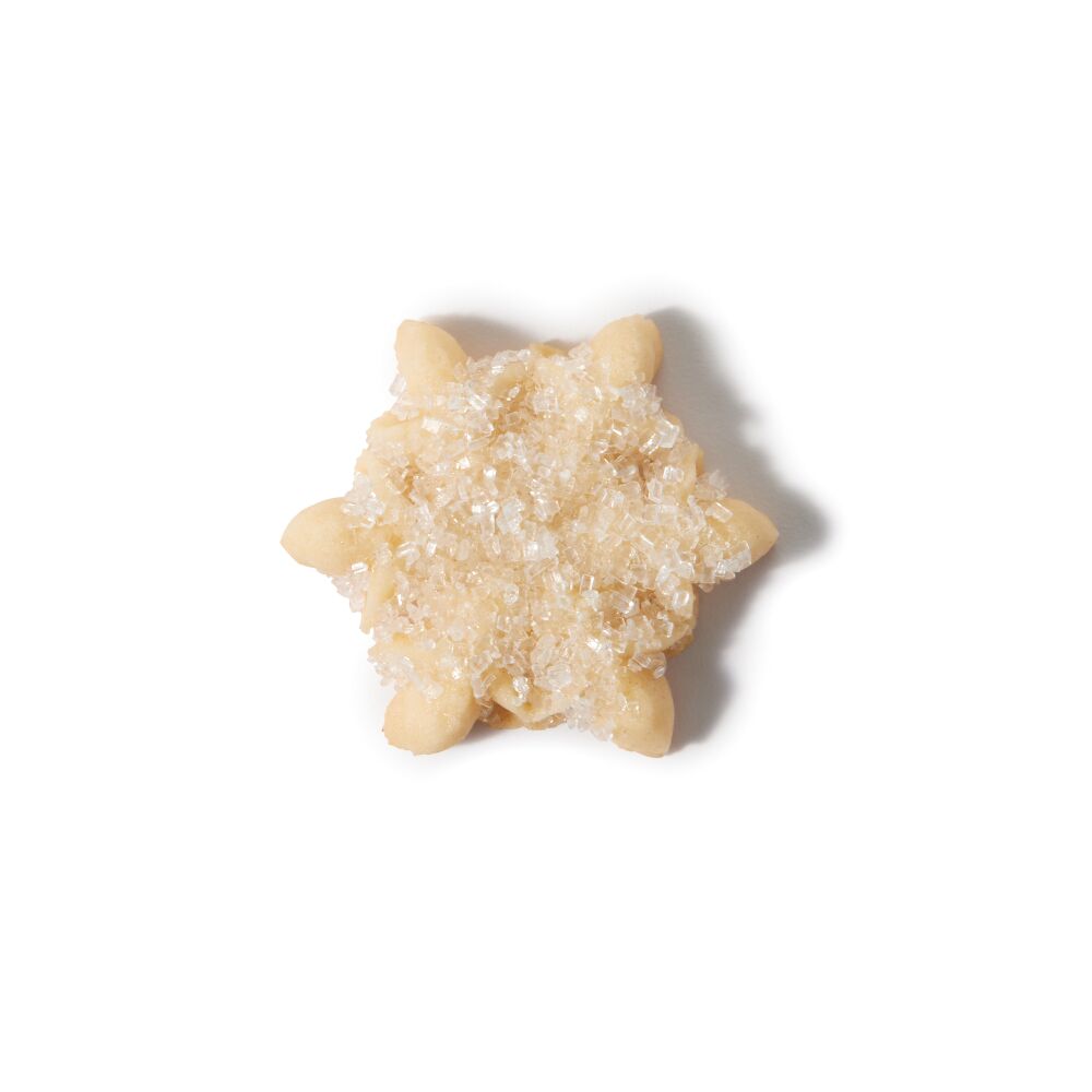 Christmas Cookie Press Disk Set C9