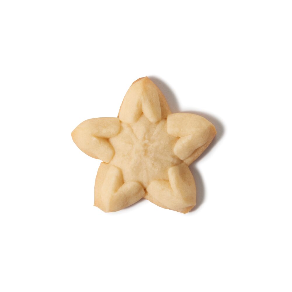 Christmas Cookie Press Disk Set C9