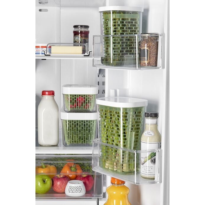 GreenSaver Standing Crisper Insert - 1 Pc T7