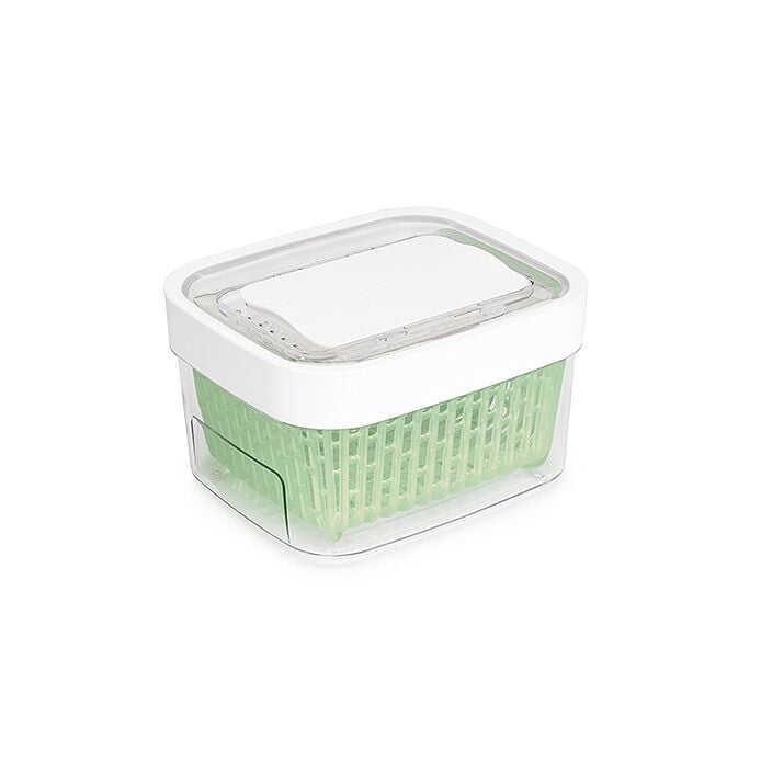 GreenSaver Produce Keeper (1.6 Qt) V4