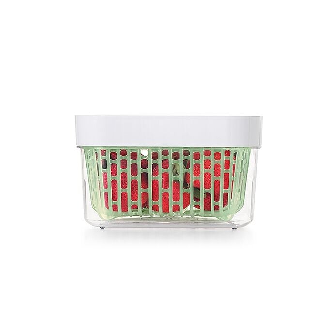 GreenSaver Produce Keeper (1.6 Qt) B8