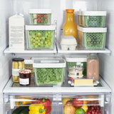 GreenSaver Produce Keeper (4.3 Qt) Y9