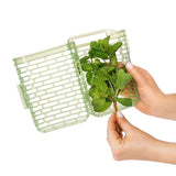 GreenSaver Herb Keeper - Small V7