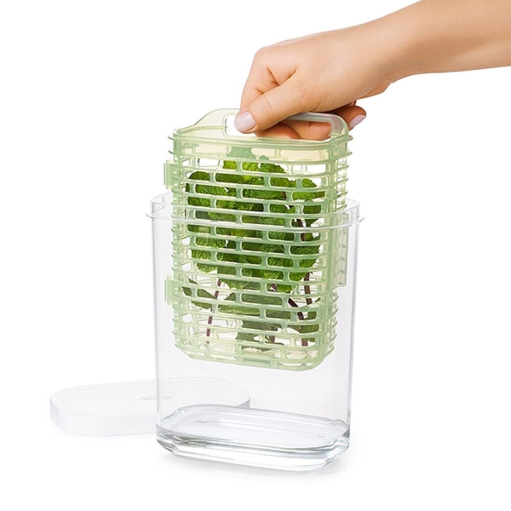 GreenSaver Herb Keeper - Small V7