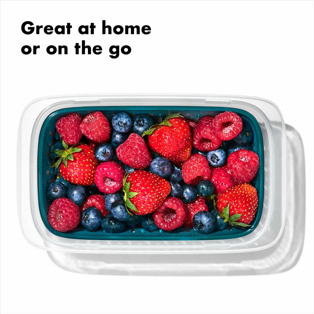 Prep & Go Container with Colander X9