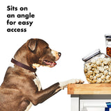 OXO Good Grips Pet POP Container – 3.0 Qt/2.8 L L6