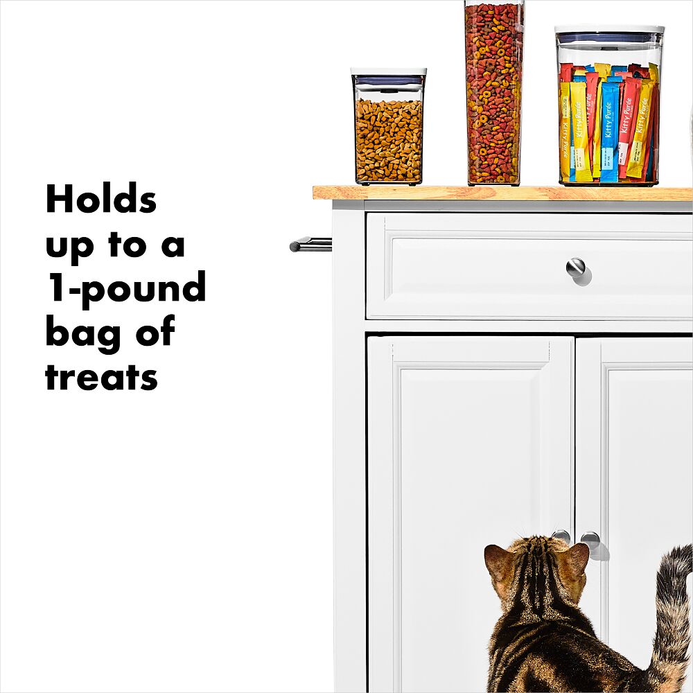 OXO Good Grips Pet POP Container – 1.1 Qt/1 L I4