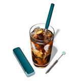 Collapsible Straw With Case R6