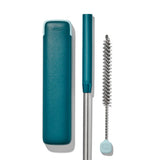 Collapsible Straw With Case R6