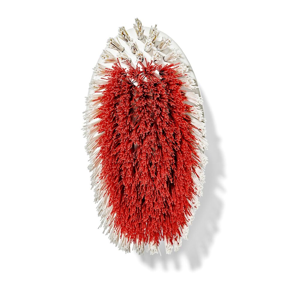 All-Purpose Scrub Brush 2-Pack P2