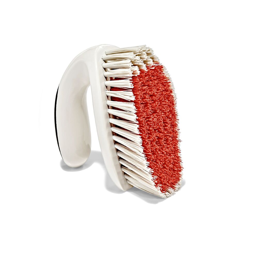 All-Purpose Scrub Brush 2-Pack P2