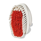 All-Purpose Scrub Brush 2-Pack P2