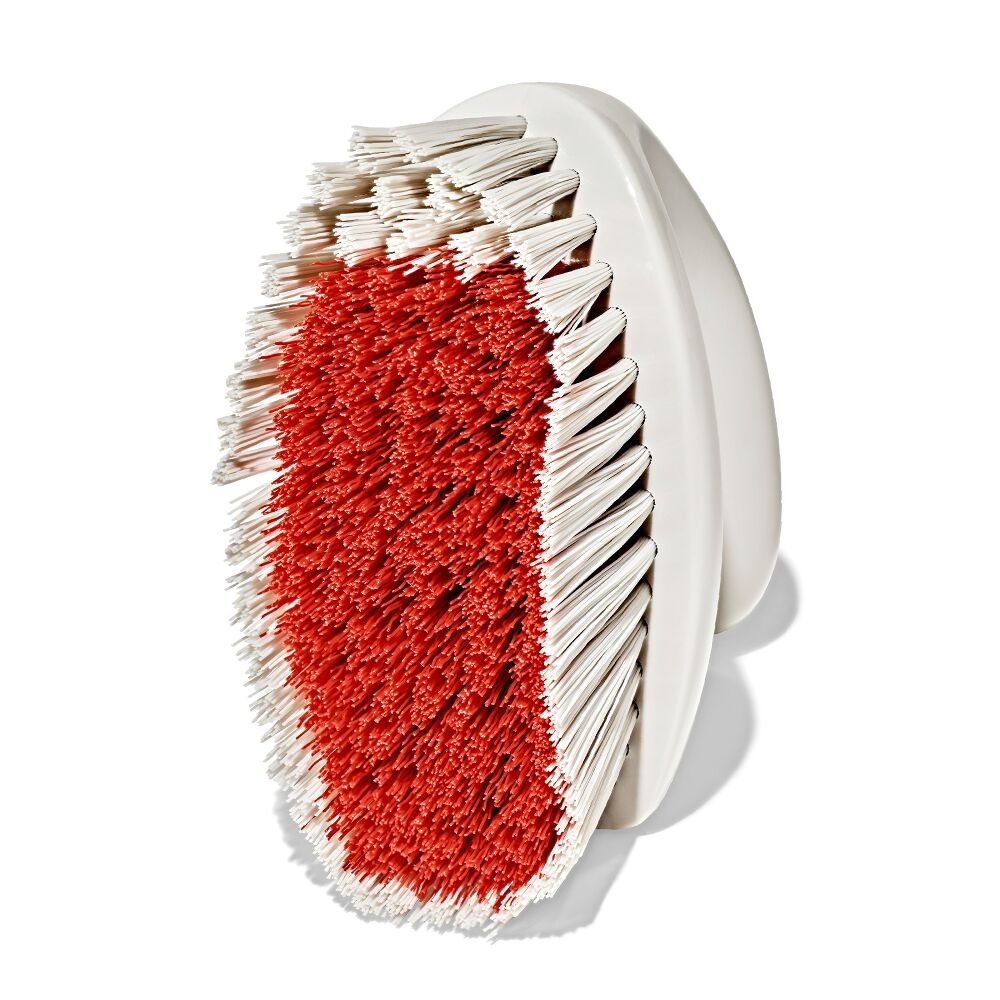 All-Purpose Scrub Brush 2-Pack P2