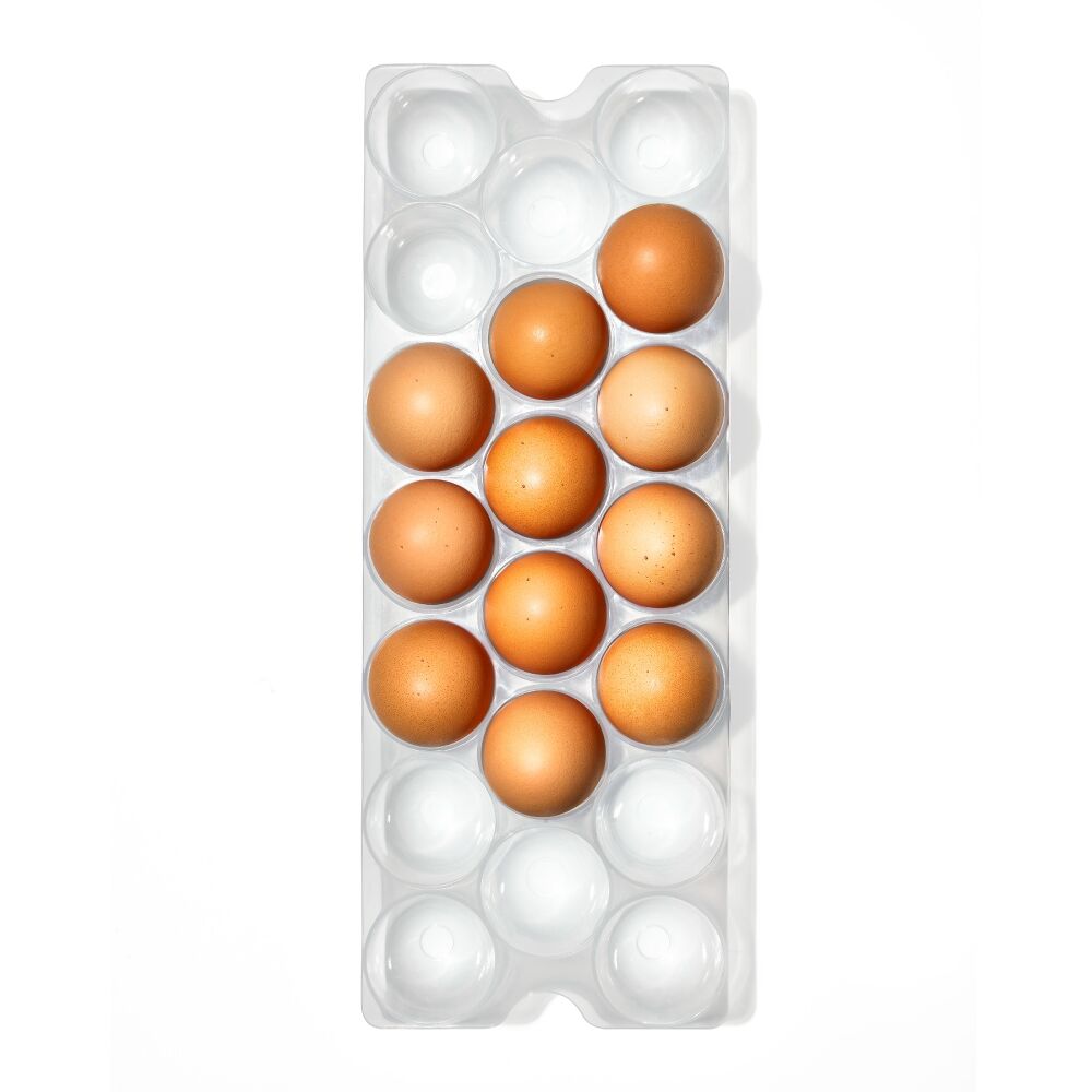 Refrigerator Egg Bin With Removable Tray T8