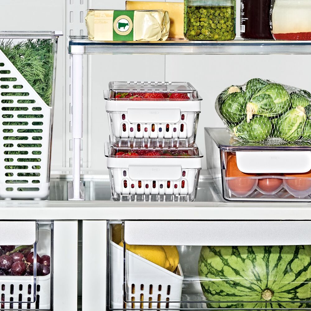 Produce Saver - Berry Keeper 2-Piece Set M5