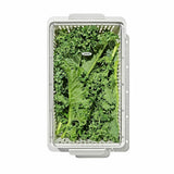 Produce Saver - Medium Bin U3