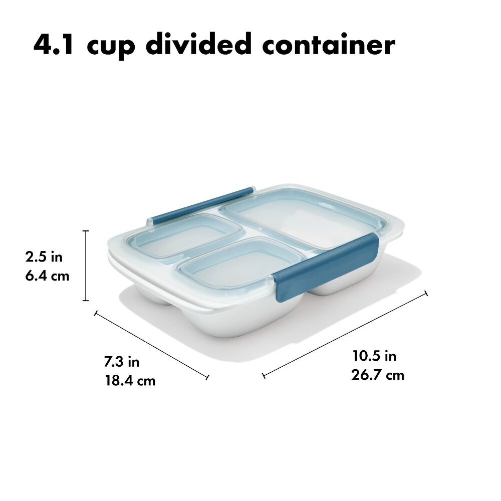 Prep & Go 4.1-Cup Divided Container - Ocean Blue B8