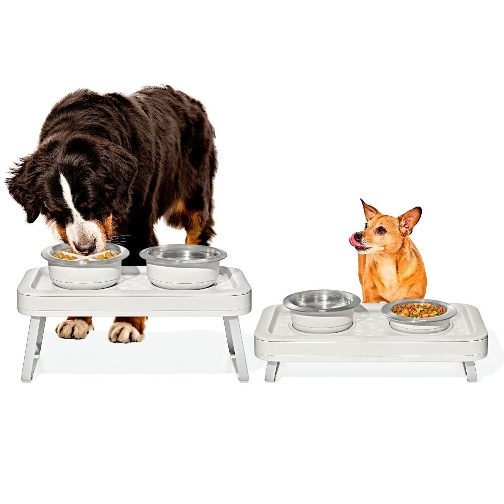 OXO Pet Adjustable Elevated Feeder O3