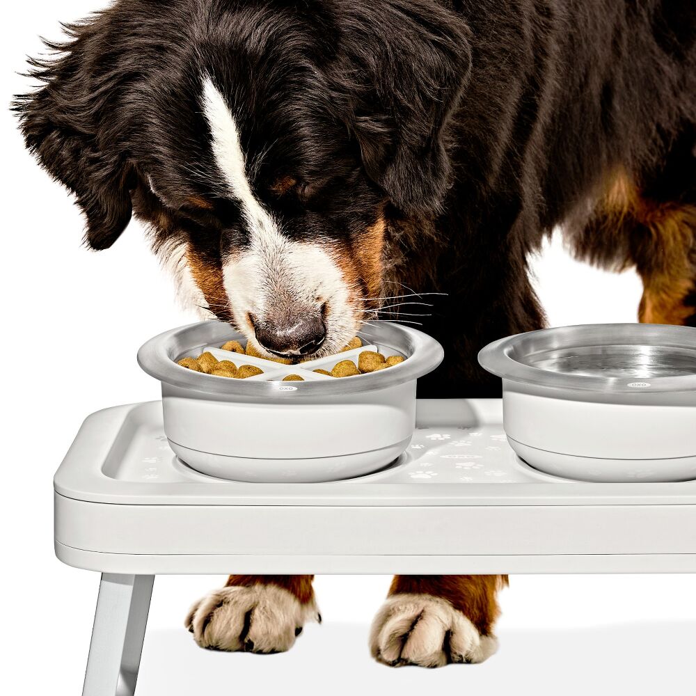 OXO Pet Easy-Clean Slow Feeder - Large, 4 Cups/950 ml B1